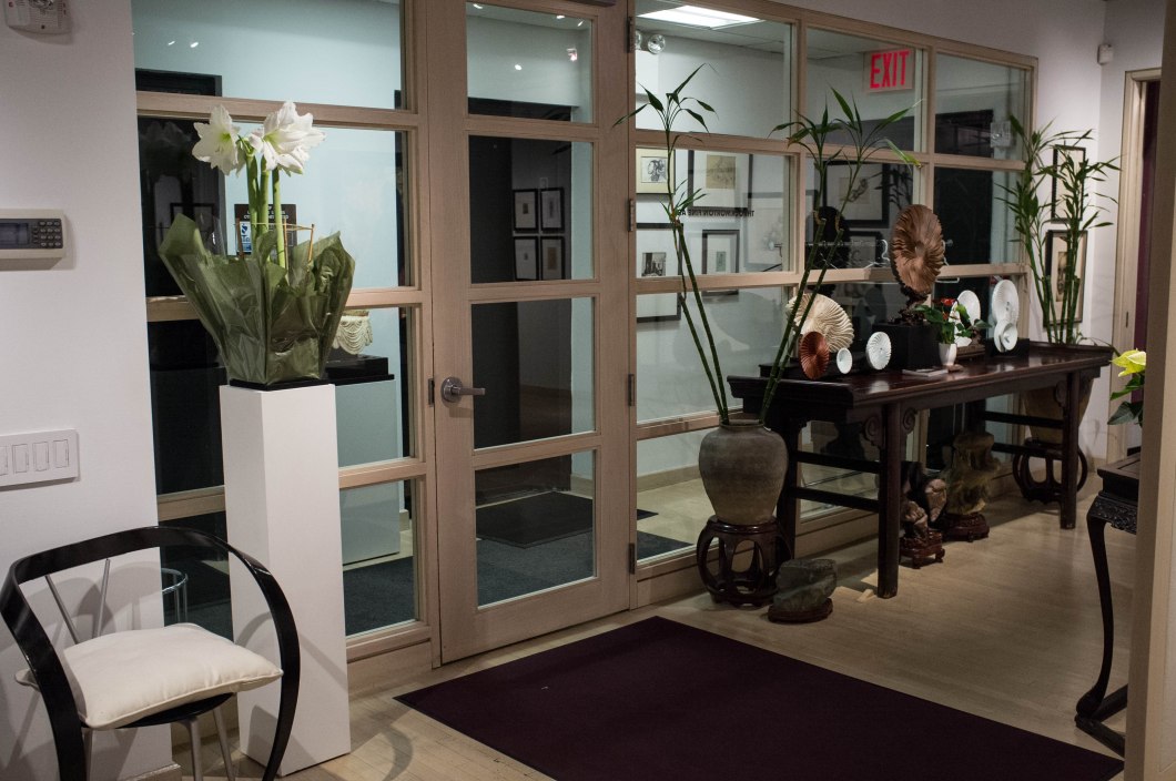 Miguel Covarrubias Throckmorton D.D. Teoli Jr. (14)