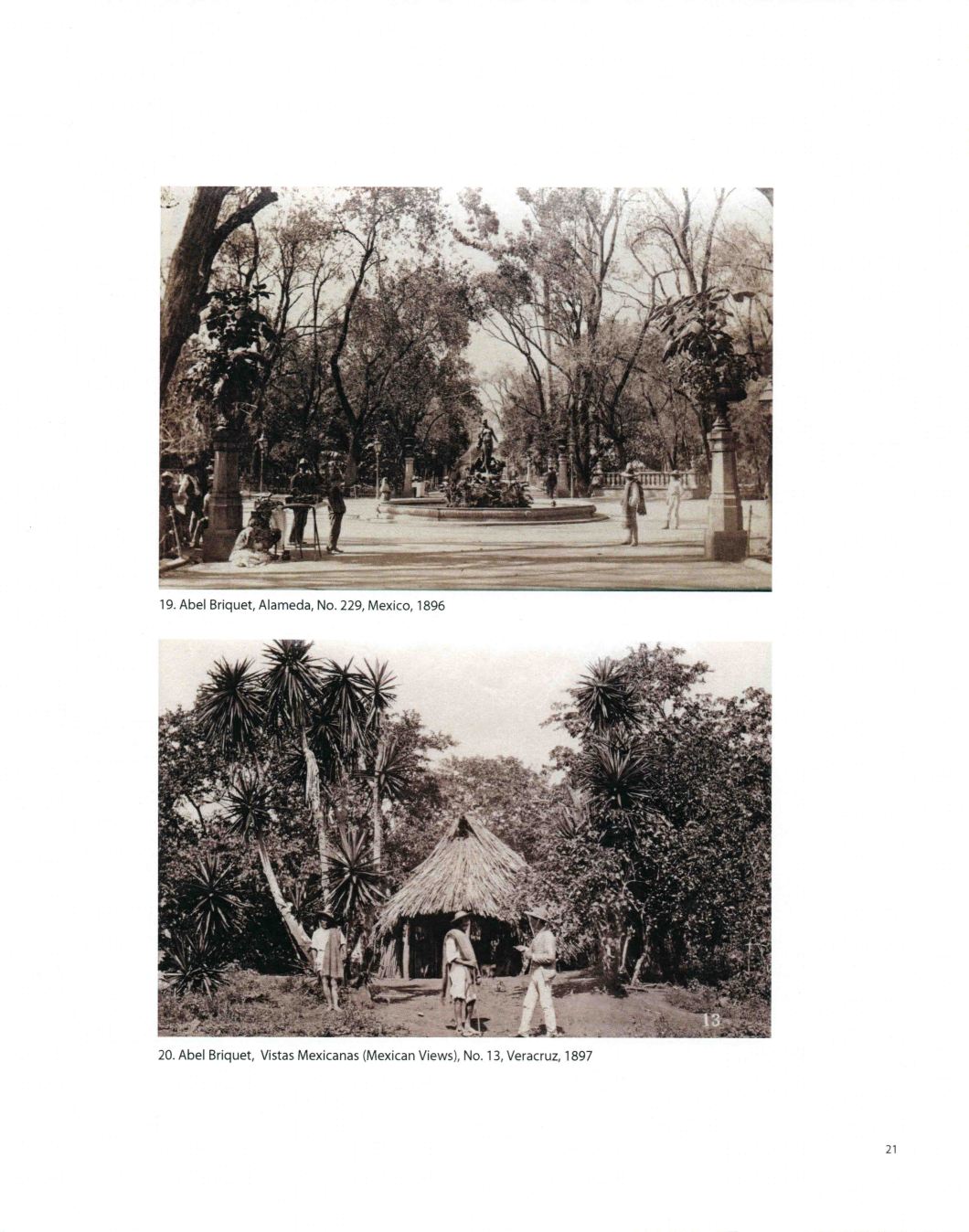 Tierra A Latin American Landscape Throckmorton D.D. Teoli Jr. A.C (21)