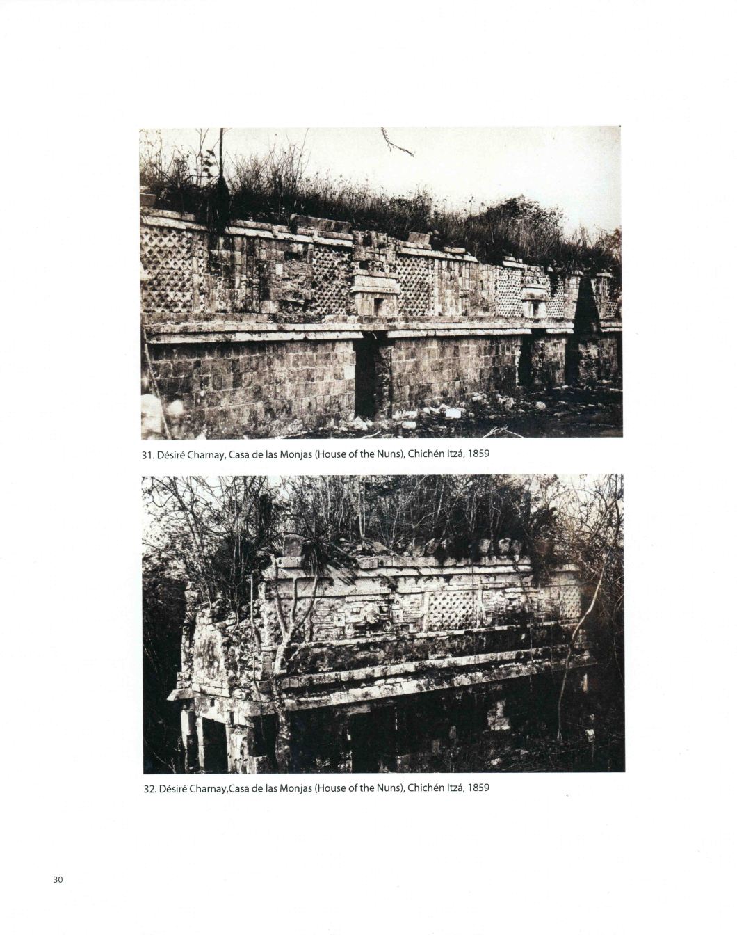 Tierra A Latin American Landscape Throckmorton D.D. Teoli Jr. A.C (30)