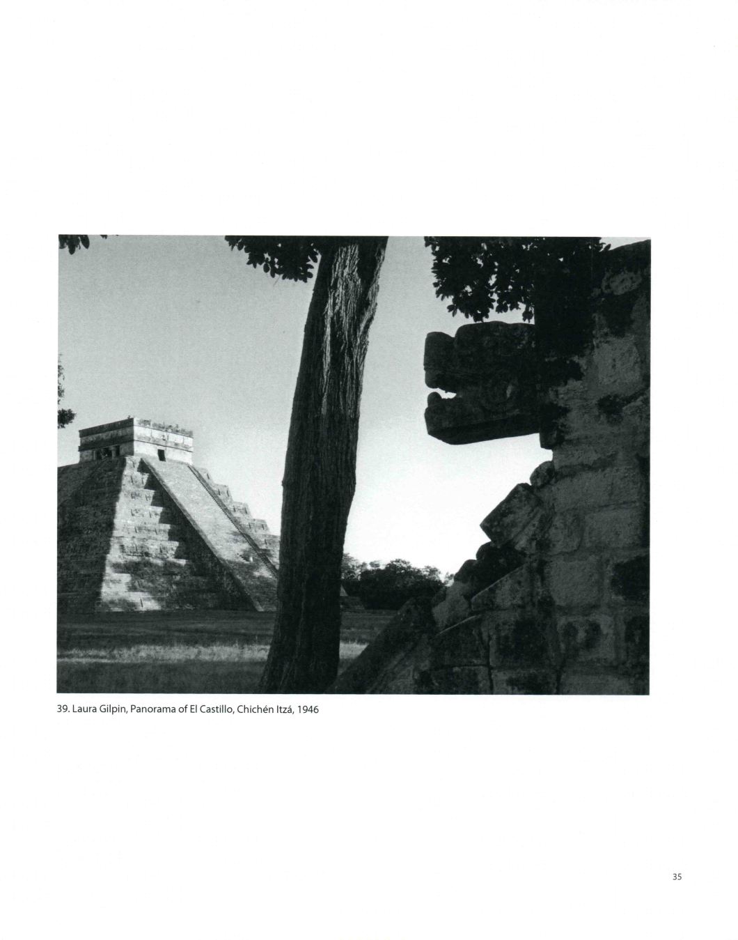 Tierra A Latin American Landscape Throckmorton D.D. Teoli Jr. A.C (35)