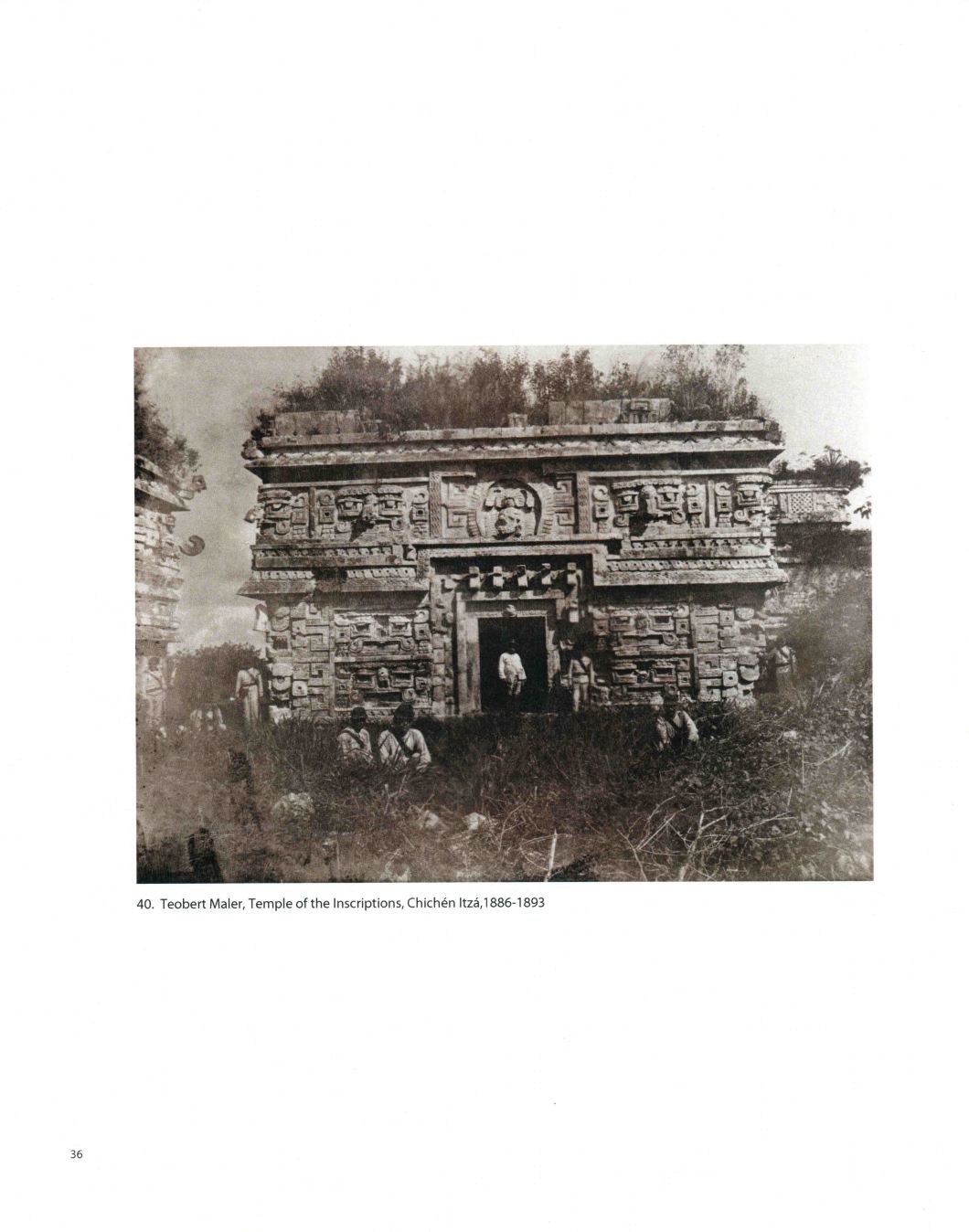 Tierra A Latin American Landscape Throckmorton D.D. Teoli Jr. A.C (36)