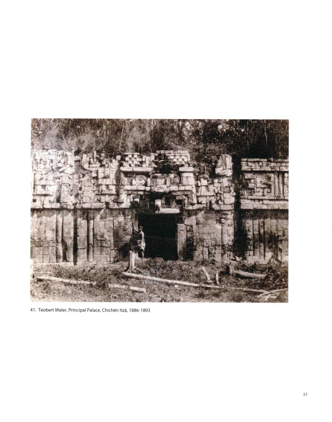 Tierra A Latin American Landscape Throckmorton D.D. Teoli Jr. A.C (37)