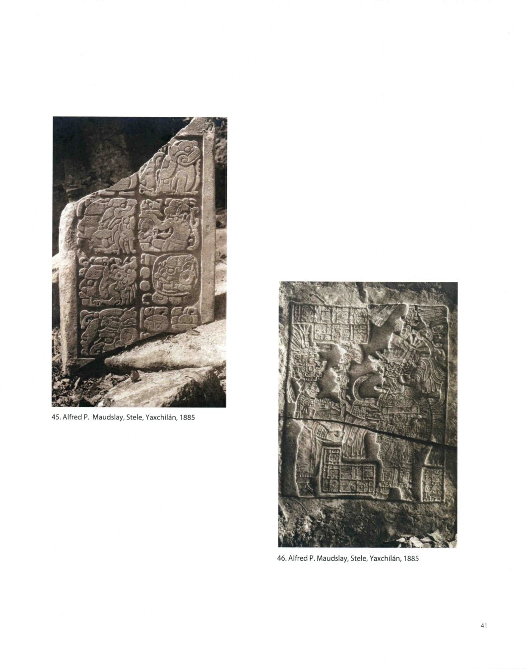 Tierra A Latin American Landscape Throckmorton D.D. Teoli Jr. A.C (41)