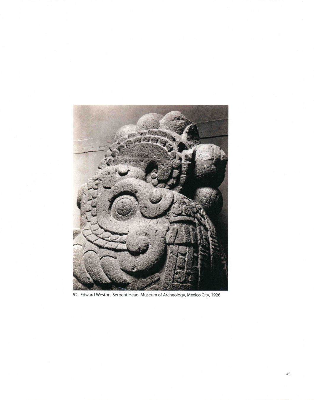 Tierra A Latin American Landscape Throckmorton D.D. Teoli Jr. A.C (45)