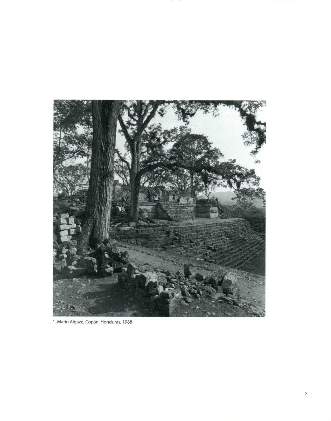 Tierra A Latin American Landscape Throckmorton D.D. Teoli Jr. A.C (5)