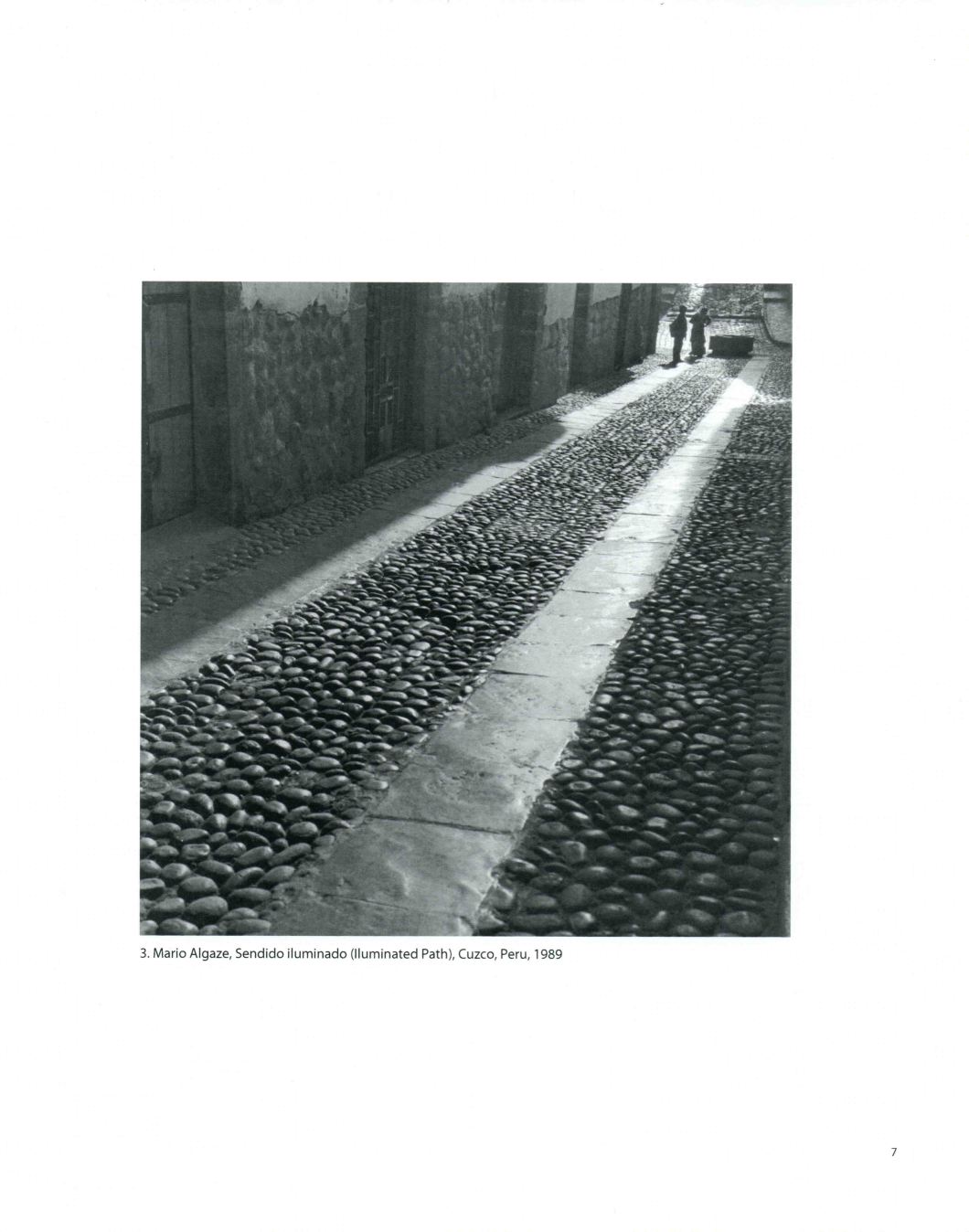 Tierra A Latin American Landscape Throckmorton D.D. Teoli Jr. A.C (7)