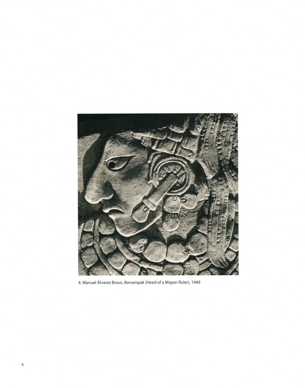 Tierra A Latin American Landscape Throckmorton D.D. Teoli Jr. A.C (8)