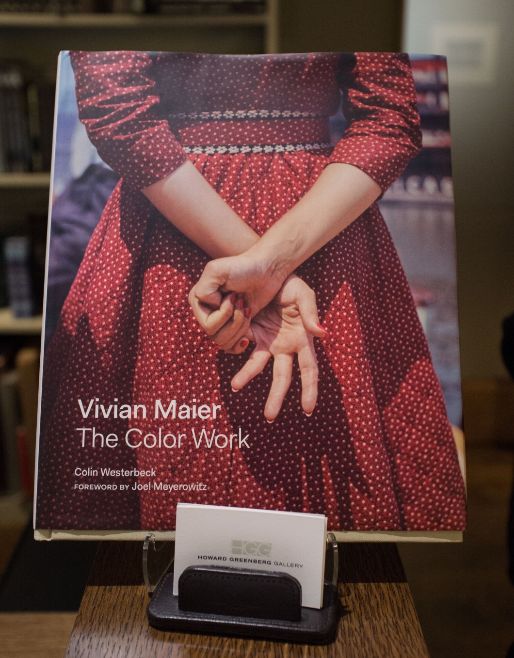 Vivian Maier Ed Burtynsky Howard Greenberg D.D. Teoli Jr (18)