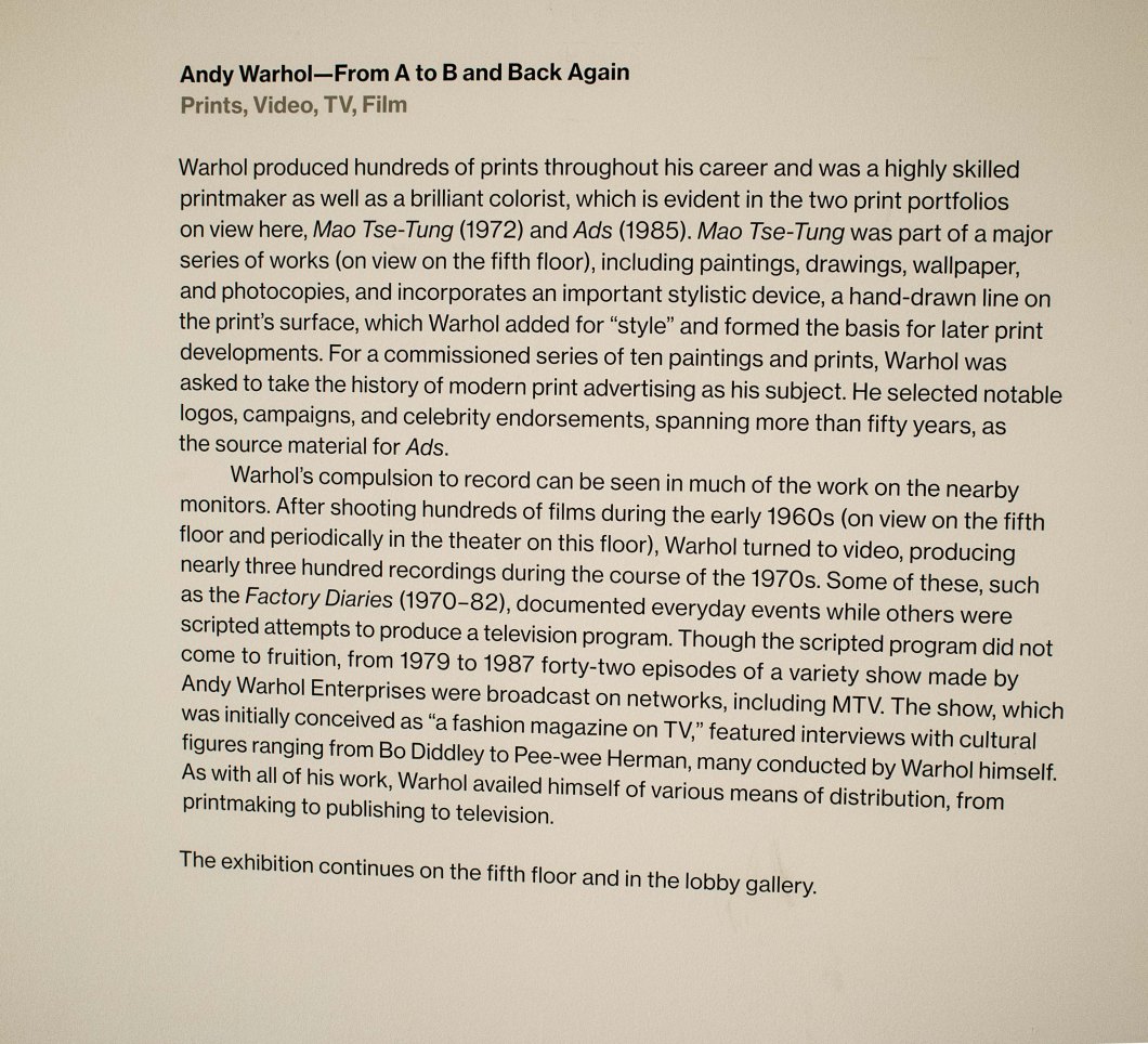 Warhol from A to B &amp; Back Again Whitney D.D. Teoli Jr. (128)
