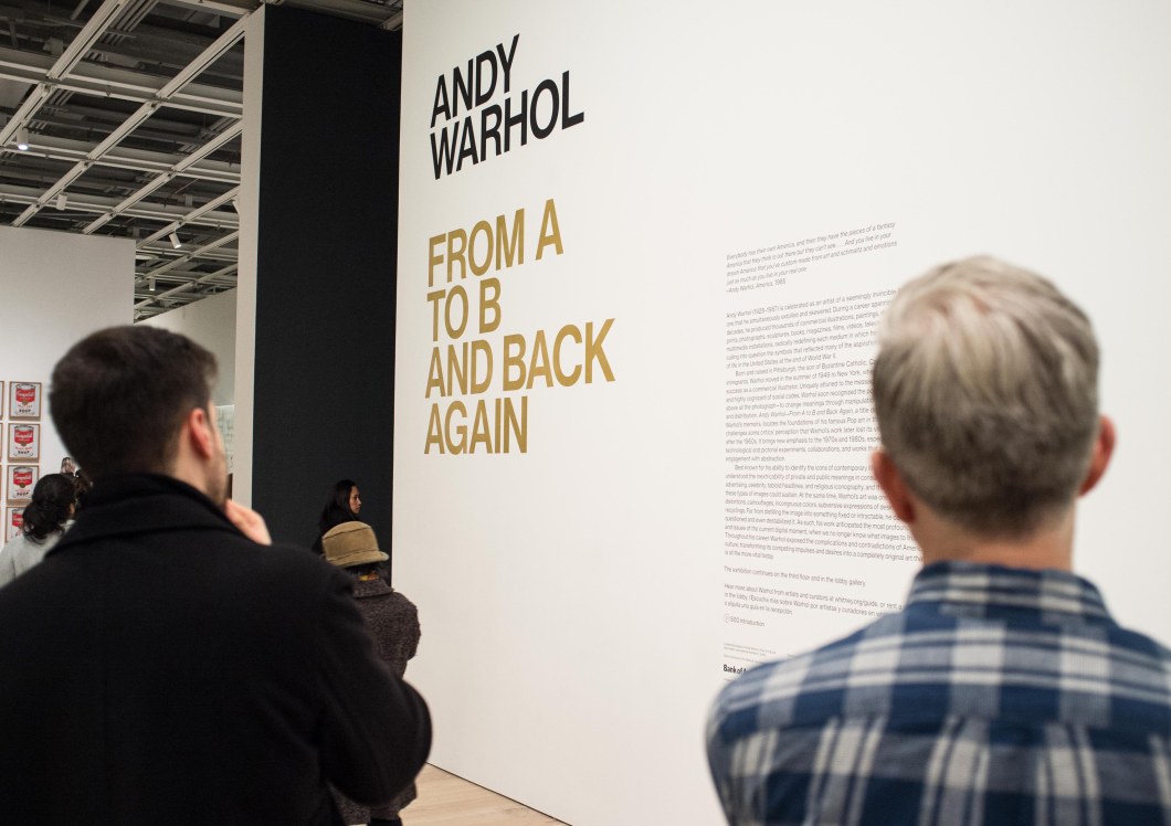 Warhol from A to B &amp; Back Again Whitney D.D. Teoli Jr. (48)