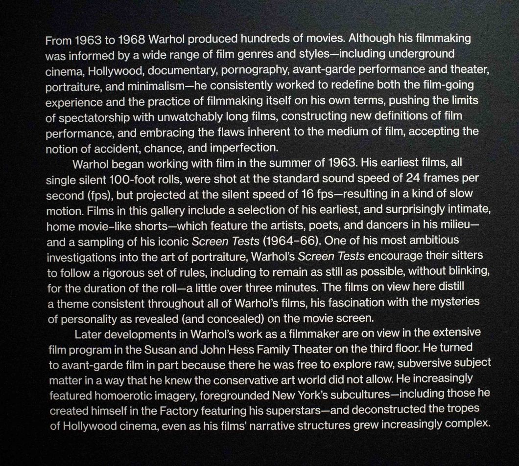 Warhol from A to B &amp; Back Again Whitney D.D. Teoli Jr. (8)
