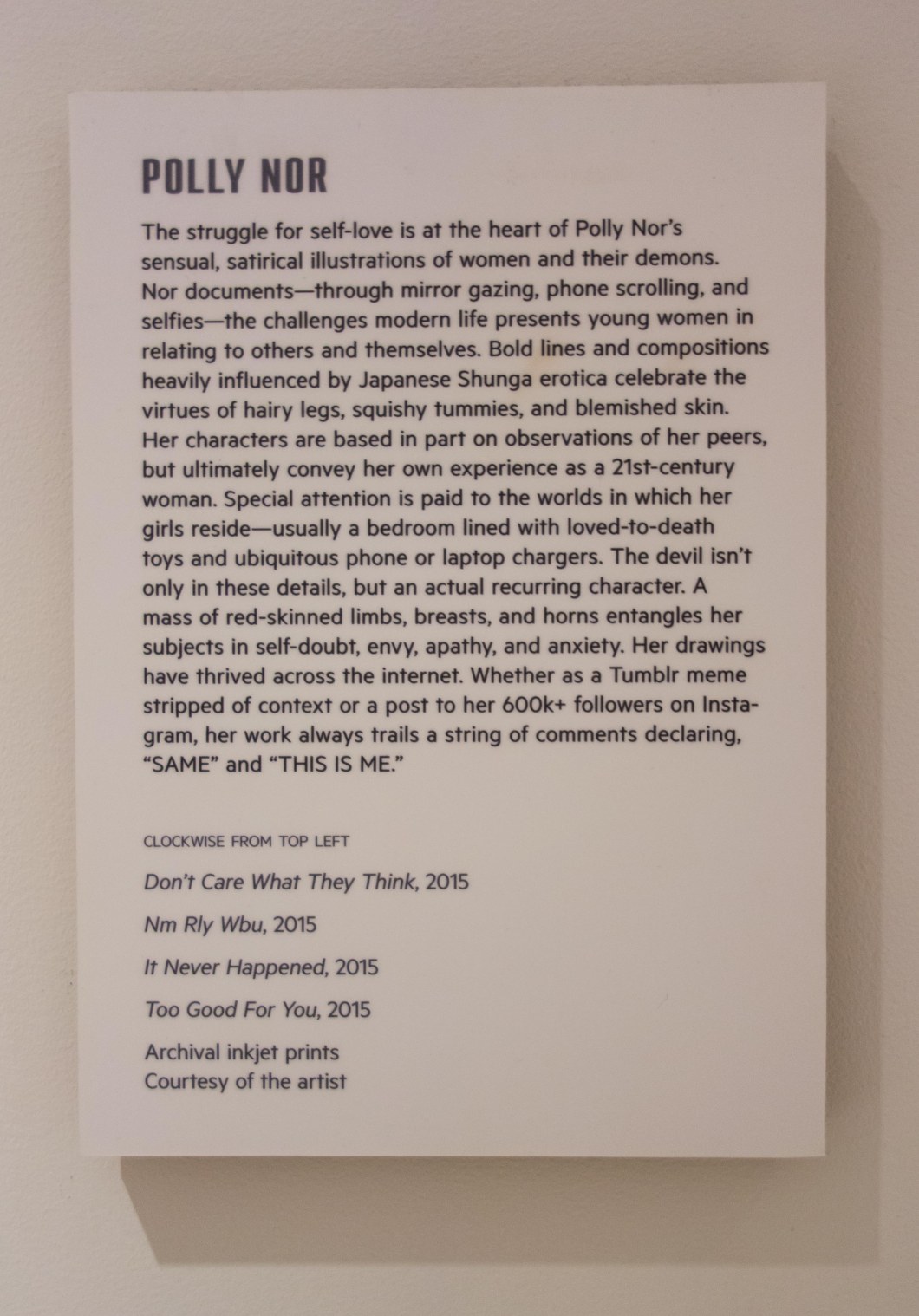 a visit to the museum of sex nyc d.d. teoli jr. (13)