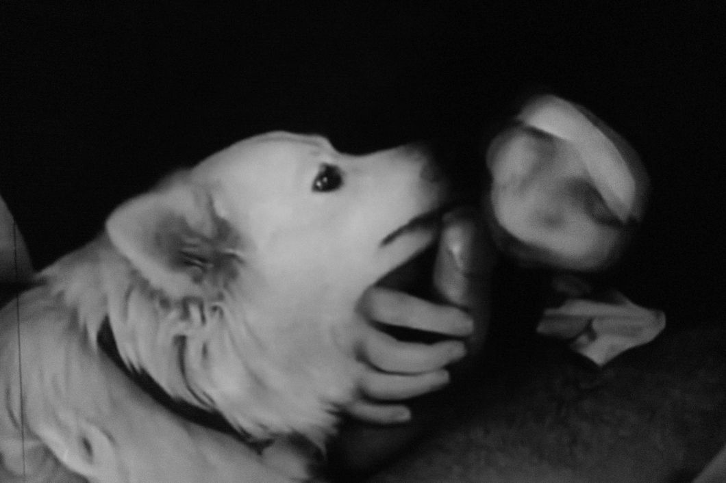 a visit to the museum of sex nyc d.d. teoli jr. (24)