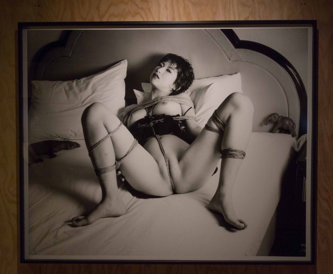 a visit to the museum of sex nyc d.d. teoli jr. (4)