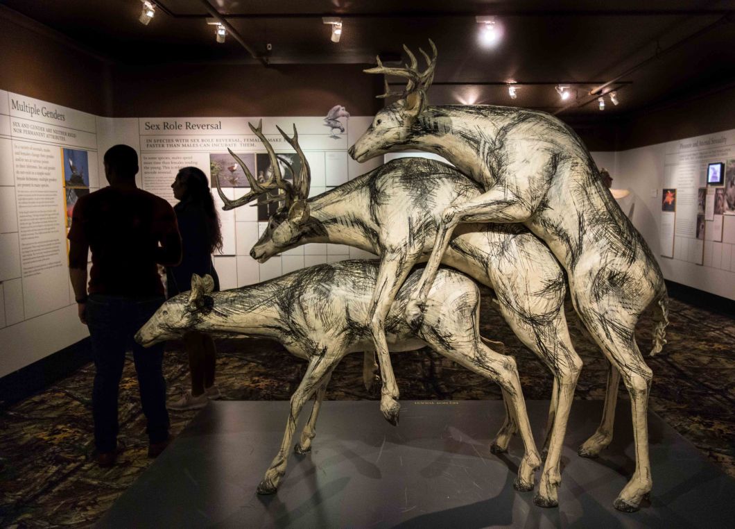 a visit to the museum of sex nyc d.d. teoli jr. (42)