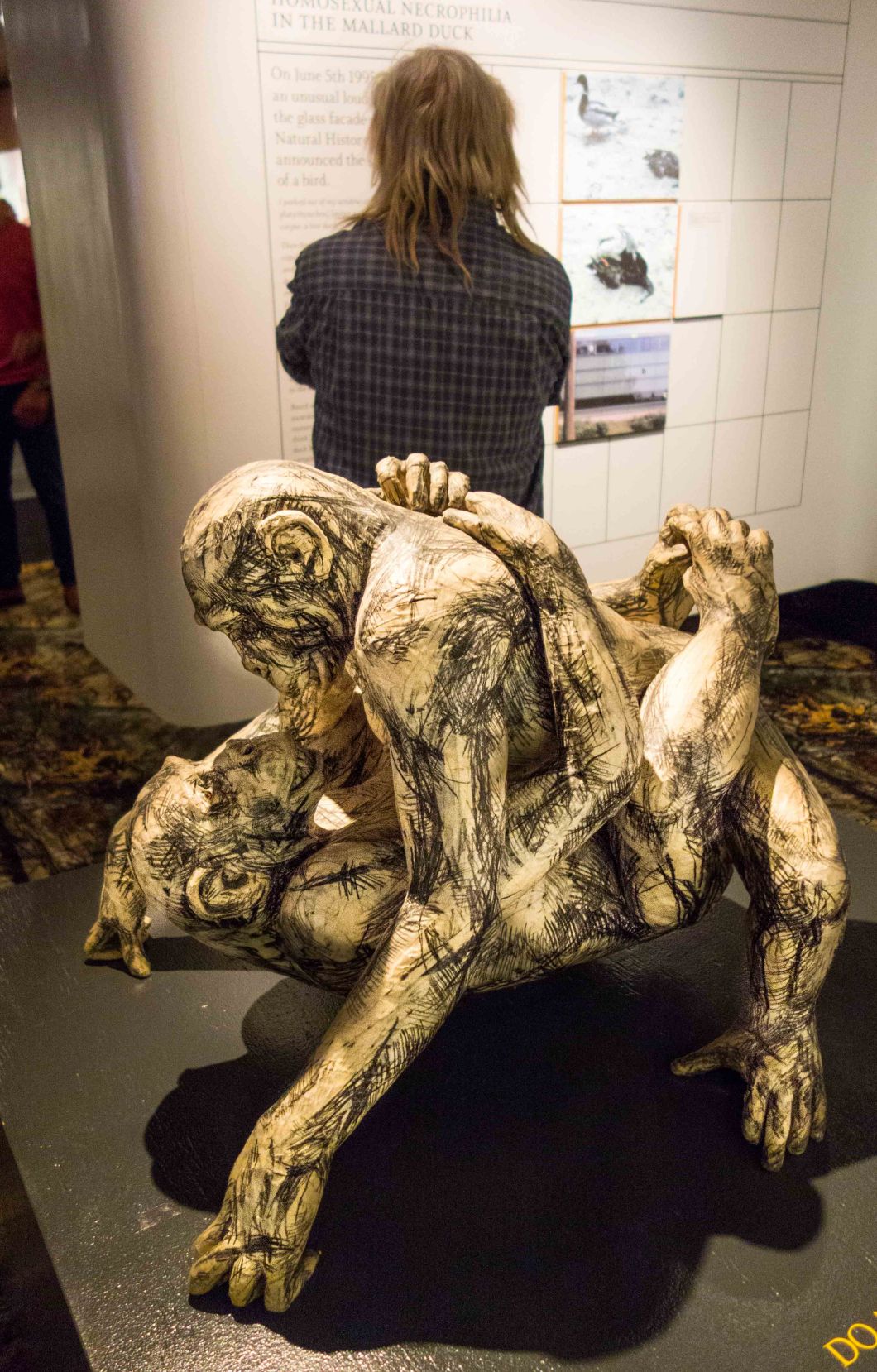 a visit to the museum of sex nyc d.d. teoli jr. (43)