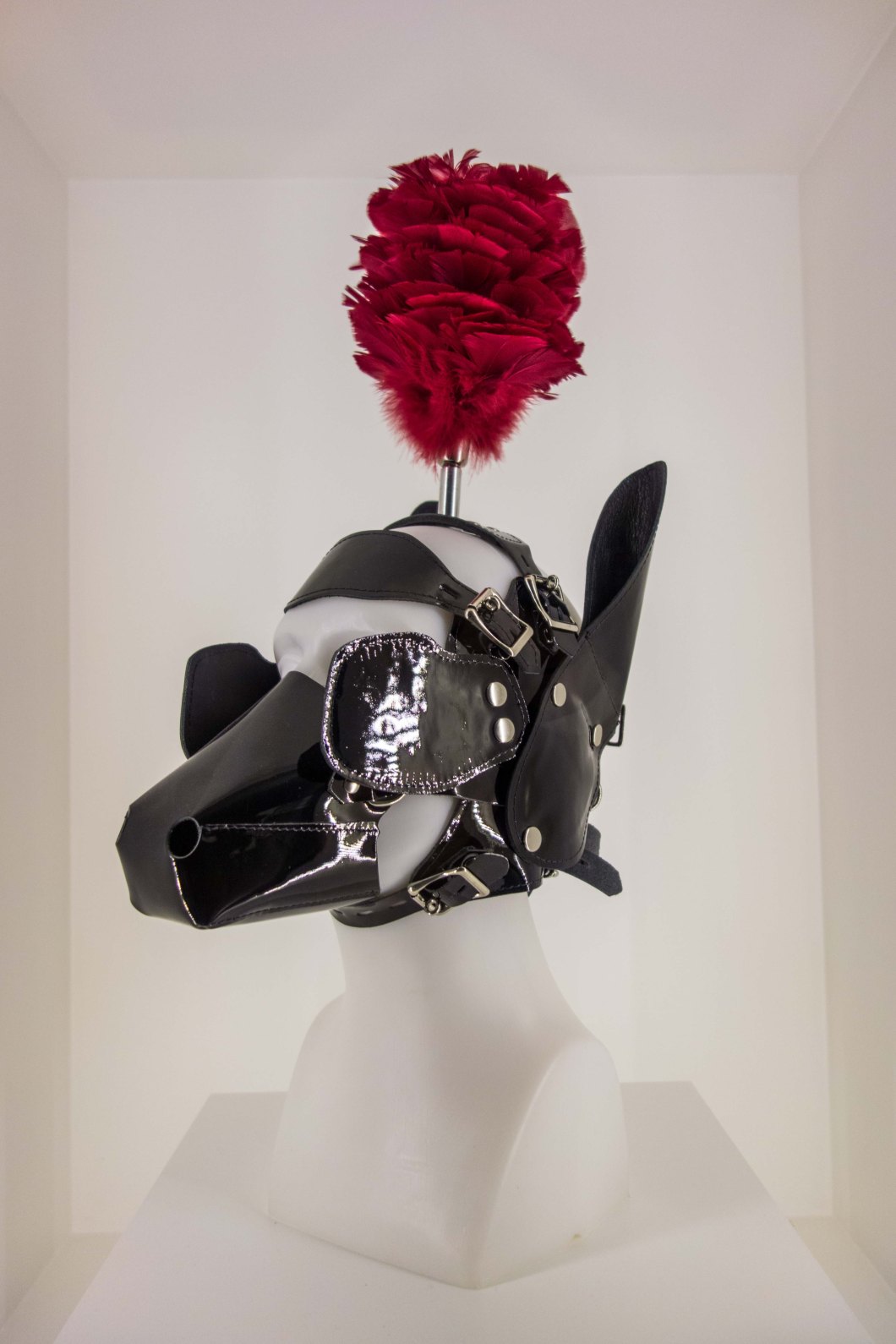 a visit to the museum of sex nyc d.d. teoli jr. (46)