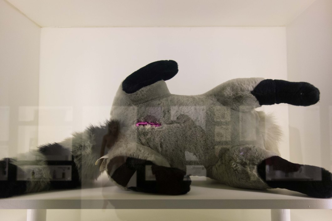 a visit to the museum of sex nyc d.d. teoli jr. (56)