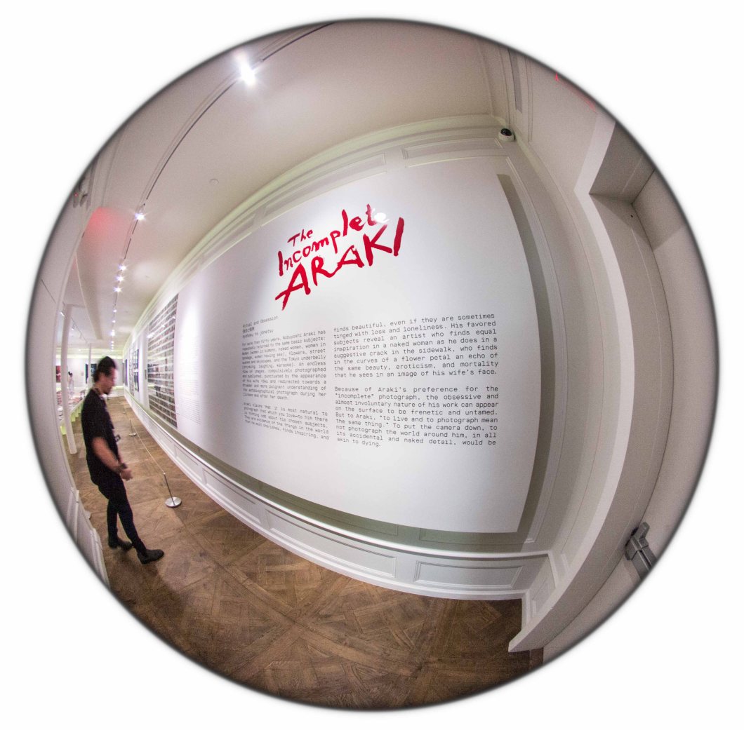 a visit to the museum of sex nyc d.d. teoli jr. (68)