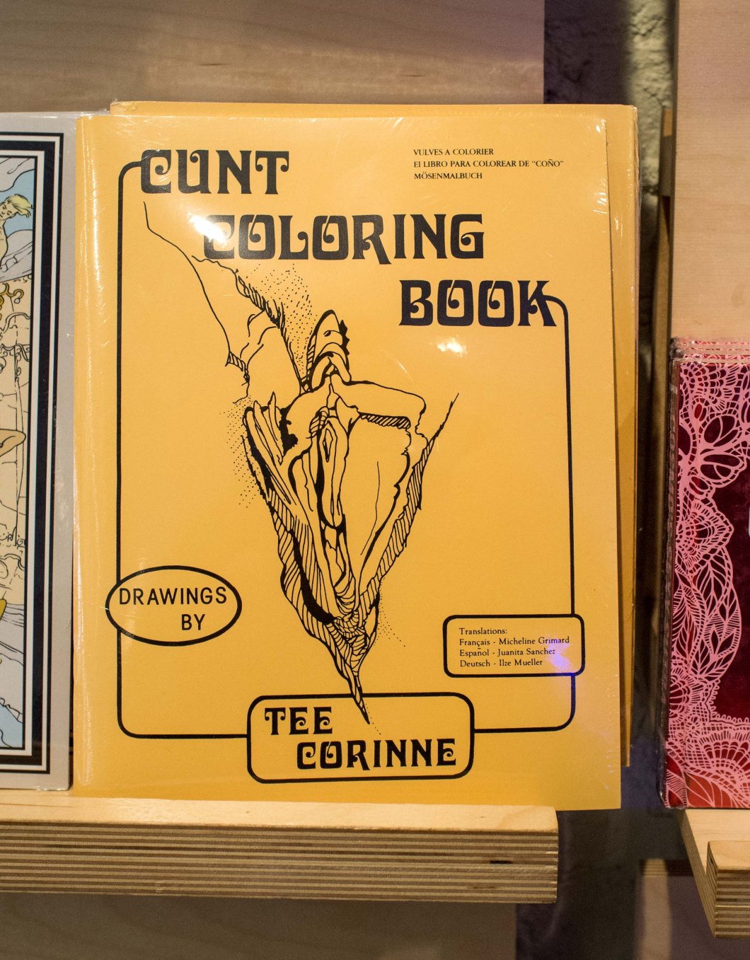 a visit to the museum of sex nyc d.d. teoli jr. (84)