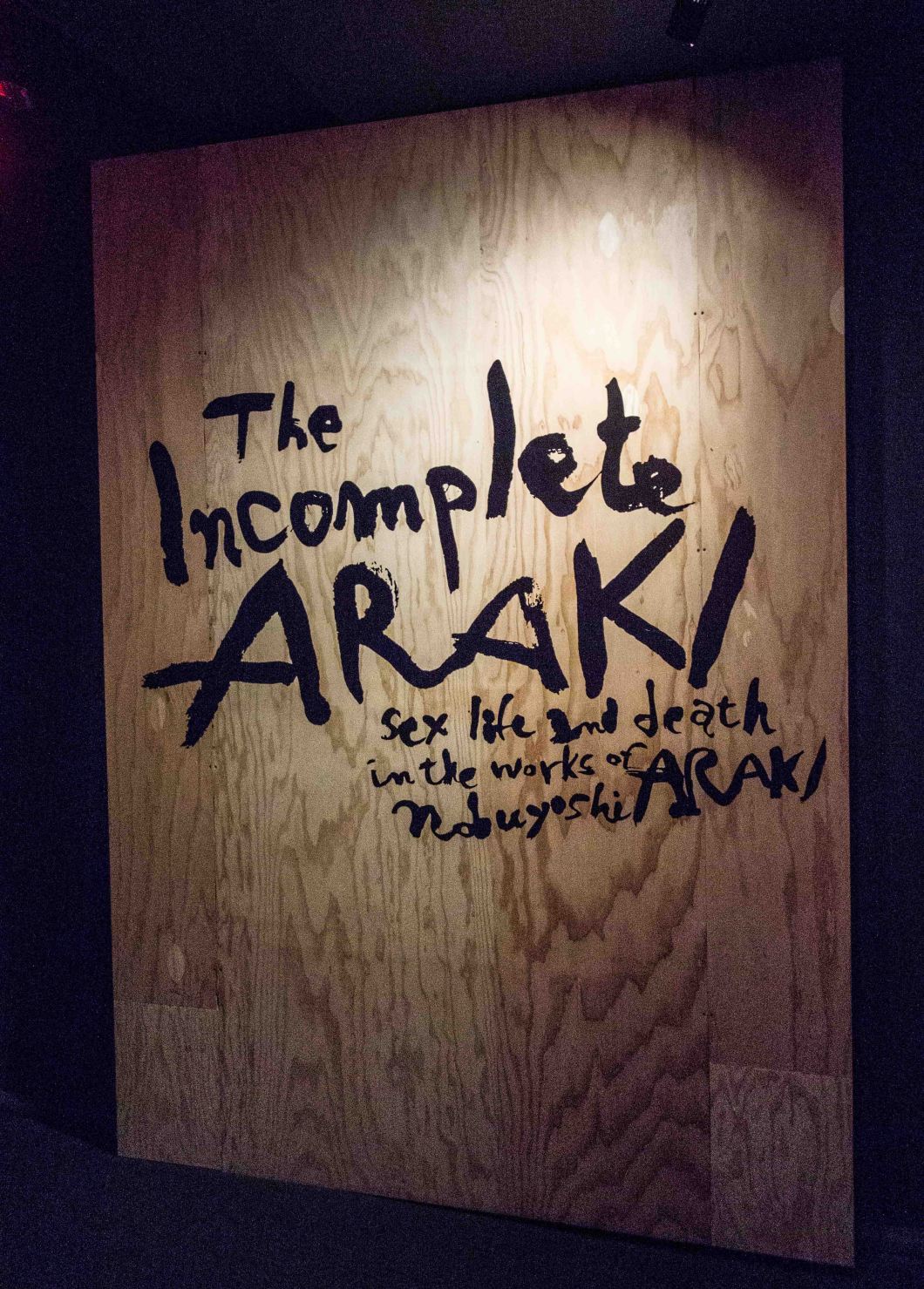 araki collages mosex d.d. teoli jr.. (1)