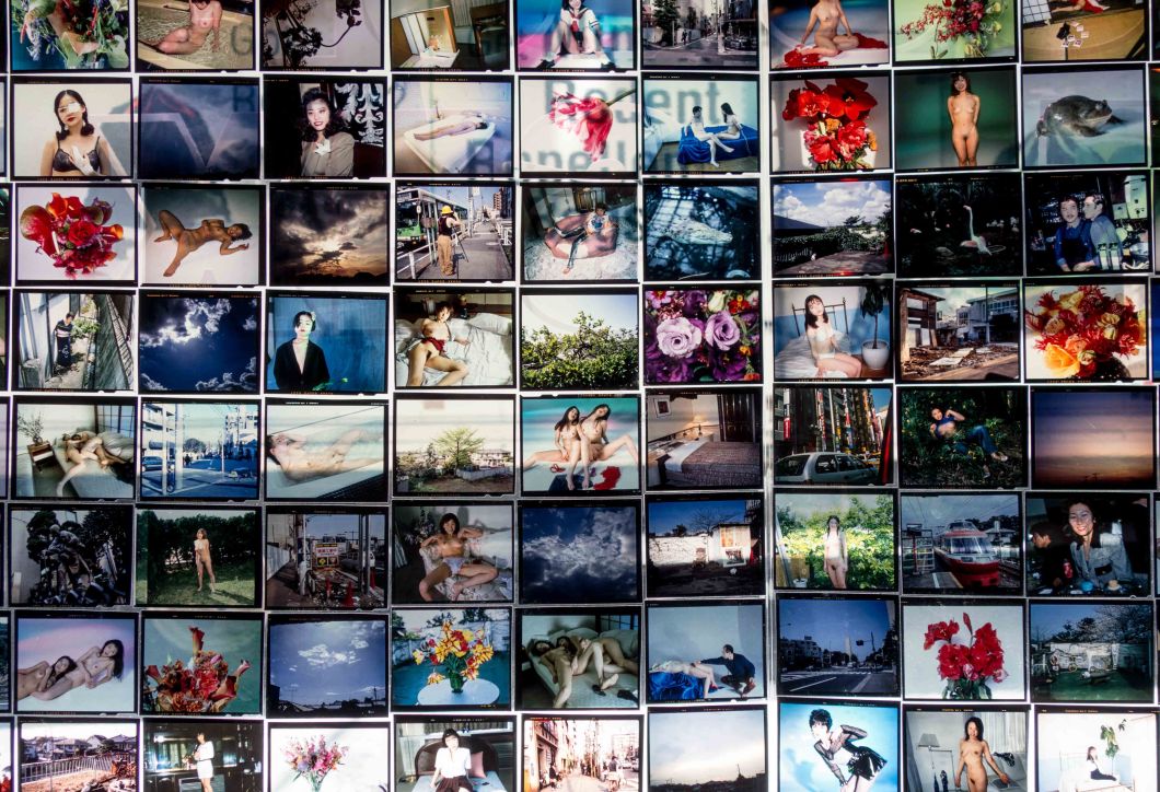 araki collages mosex d.d. teoli jr.. (10)