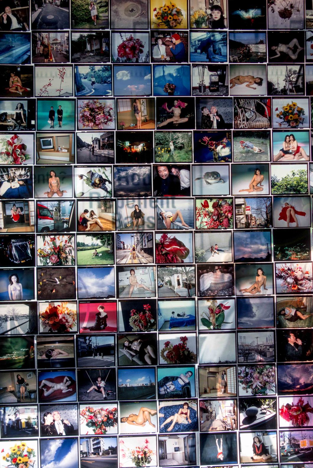 araki collages mosex d.d. teoli jr.. (11)