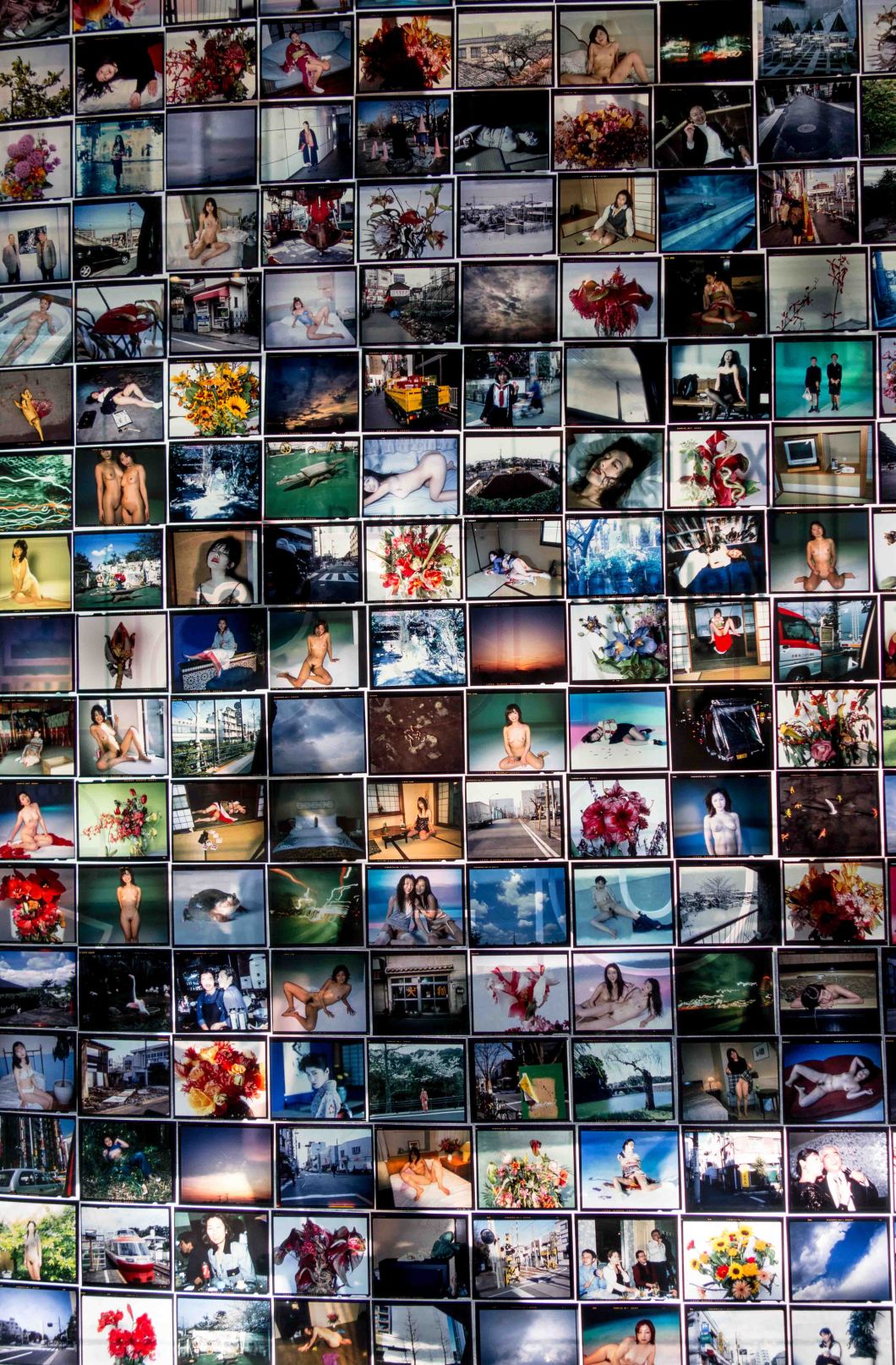 araki collages mosex d.d. teoli jr.. (12)