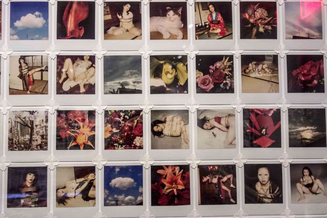 araki collages mosex d.d. teoli jr.. (18)