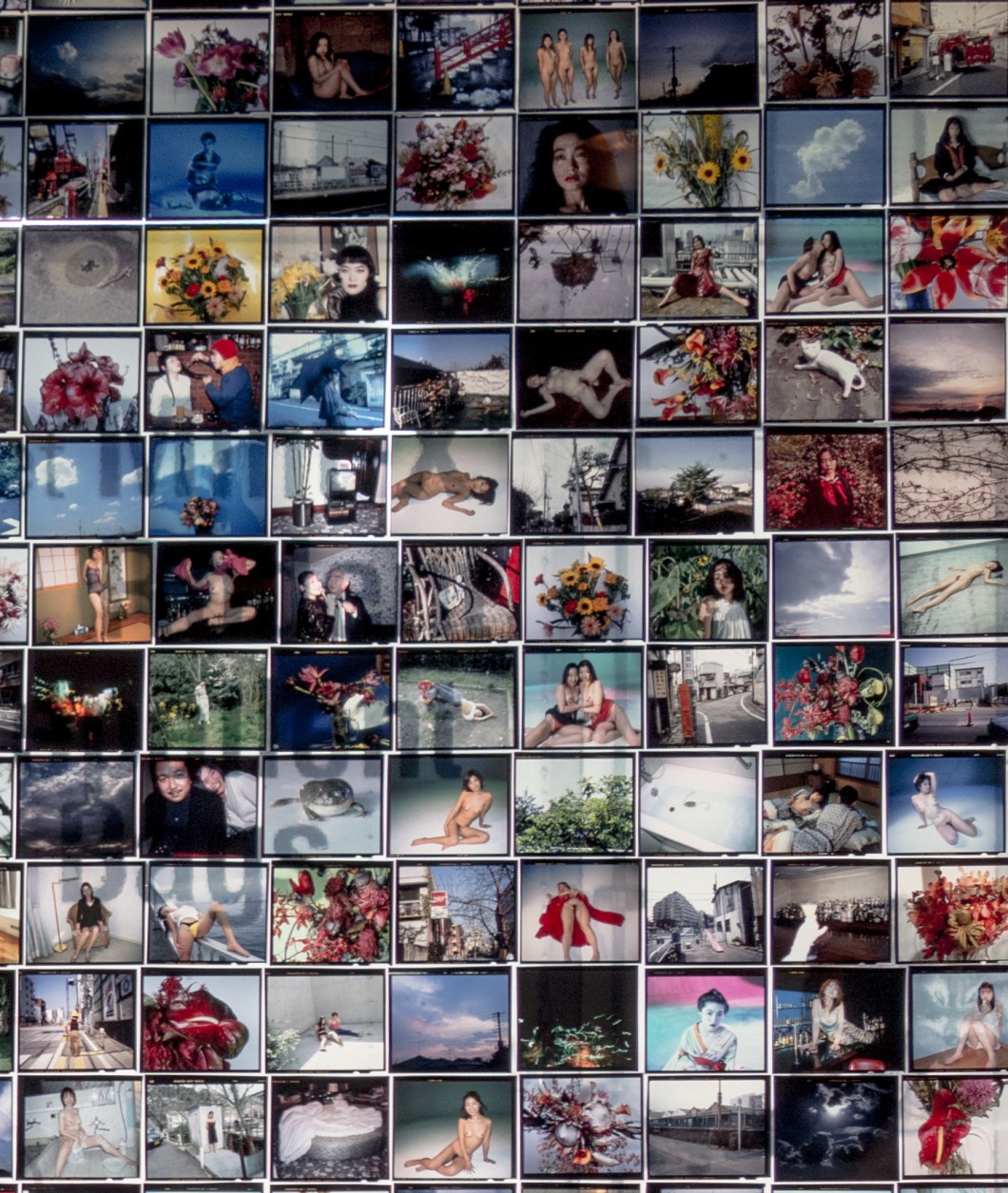 araki collages mosex d.d. teoli jr.. (7)