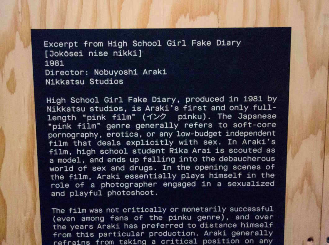 araki video clips mosex d.d. teoli jr. (18)