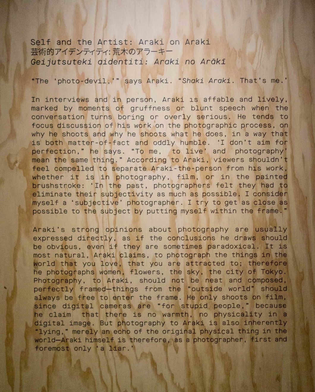 araki video clips mosex d.d. teoli jr. (9)