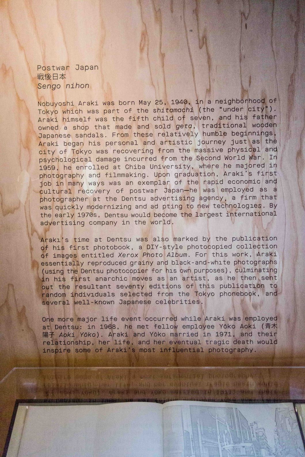 araki's first book xerox photo album mosex d.d. teoli jr (23)