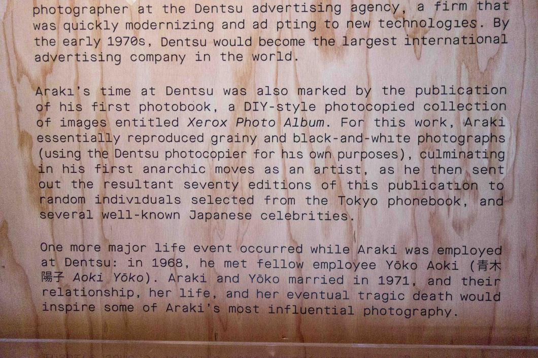 araki's first book xerox photo album mosex d.d. teoli jr (24)