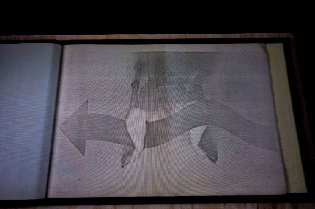 araki's first book xerox photo album mosex d.d. teoli jr (3)