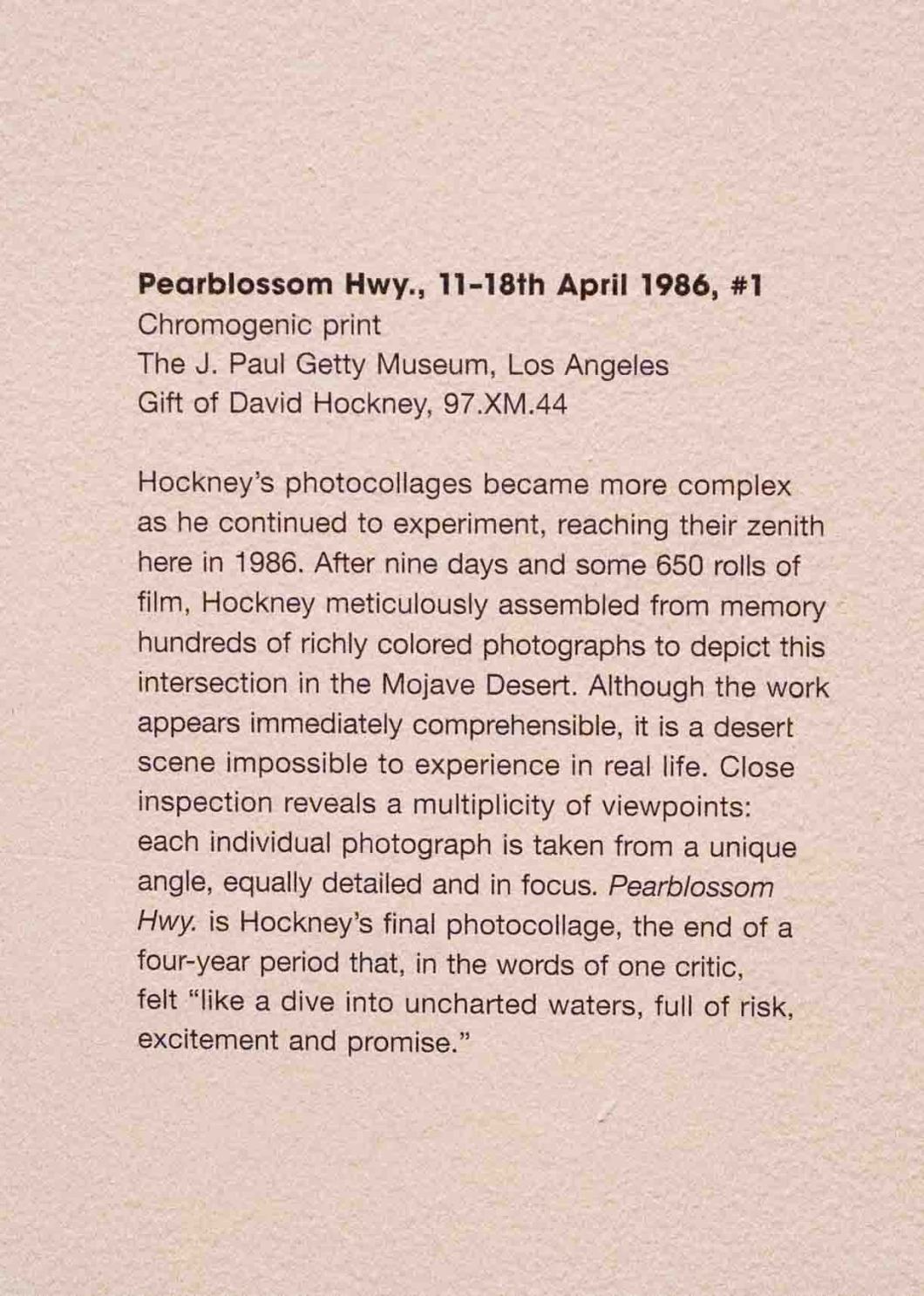 david hockney the met d.d. teoli jr. (6)