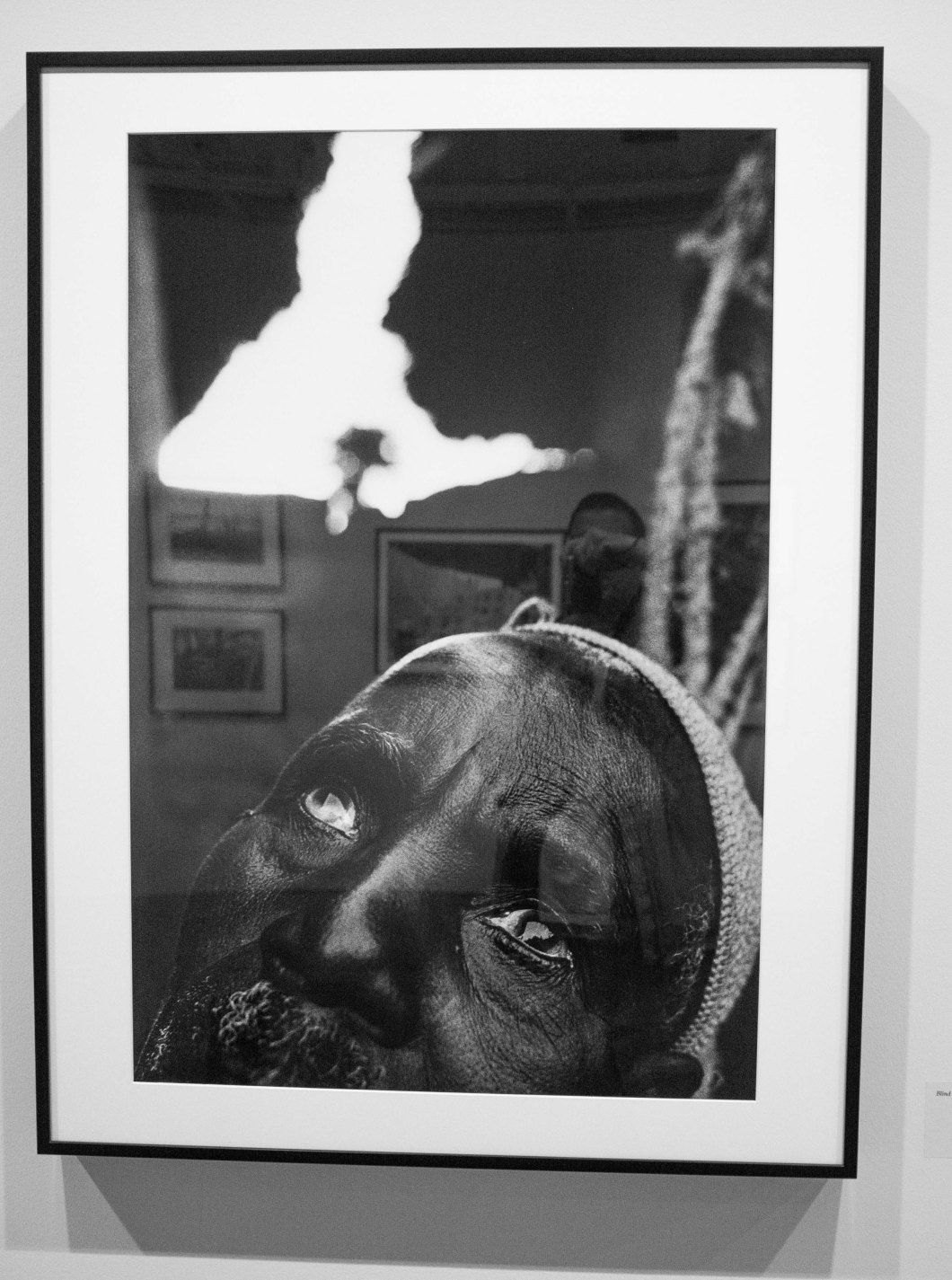 eugene richards the run-on of time d.d. teoli jr. (73)