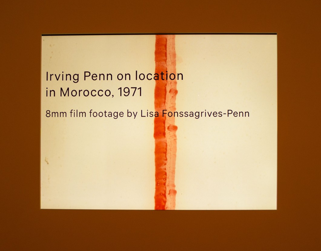 irving penn centennial met d.d. teoli jr. (13)