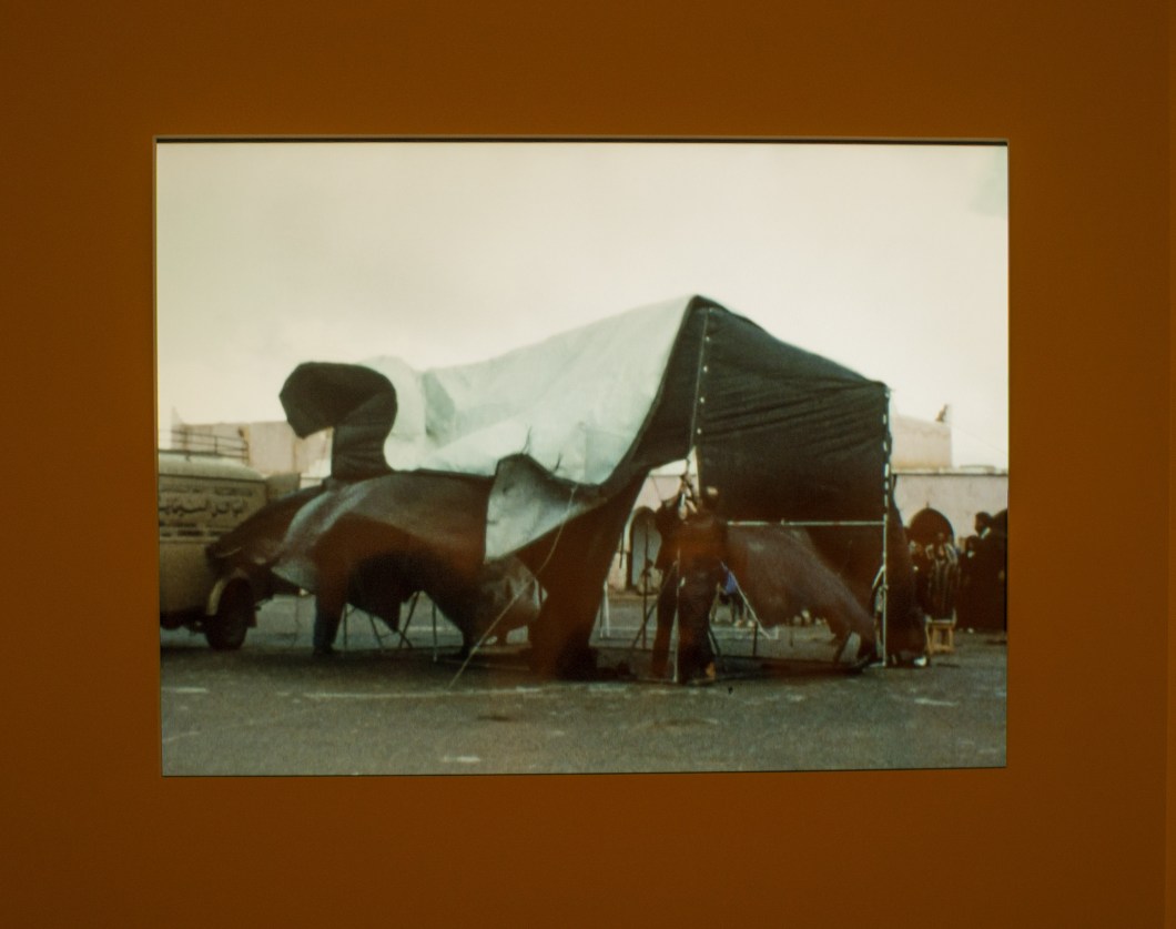 irving penn centennial met d.d. teoli jr. (14)