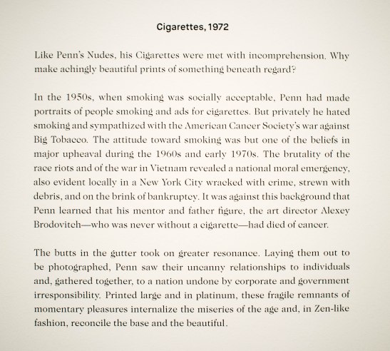 irving penn centennial met d.d. teoli jr. (7)