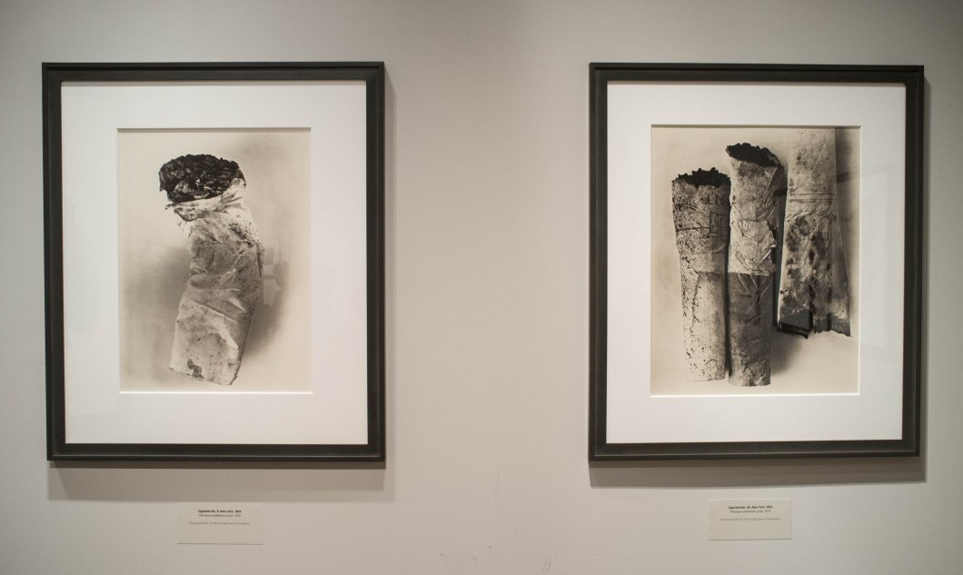 irving penn centennial met d.d. teoli jr. (8)