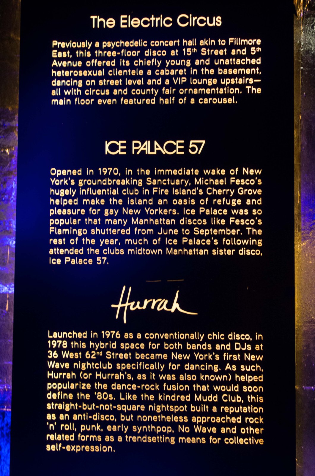 night fever disco photos bernstein mosex d.d. teoli jr.. (16)