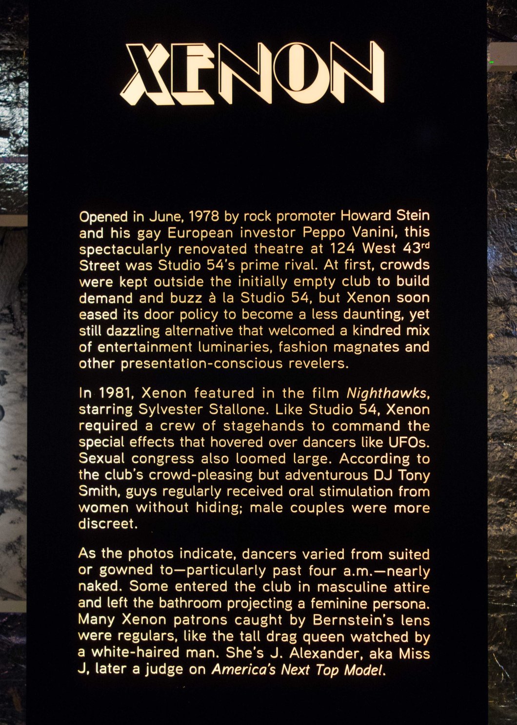 night fever disco photos bernstein mosex d.d. teoli jr.. (23)