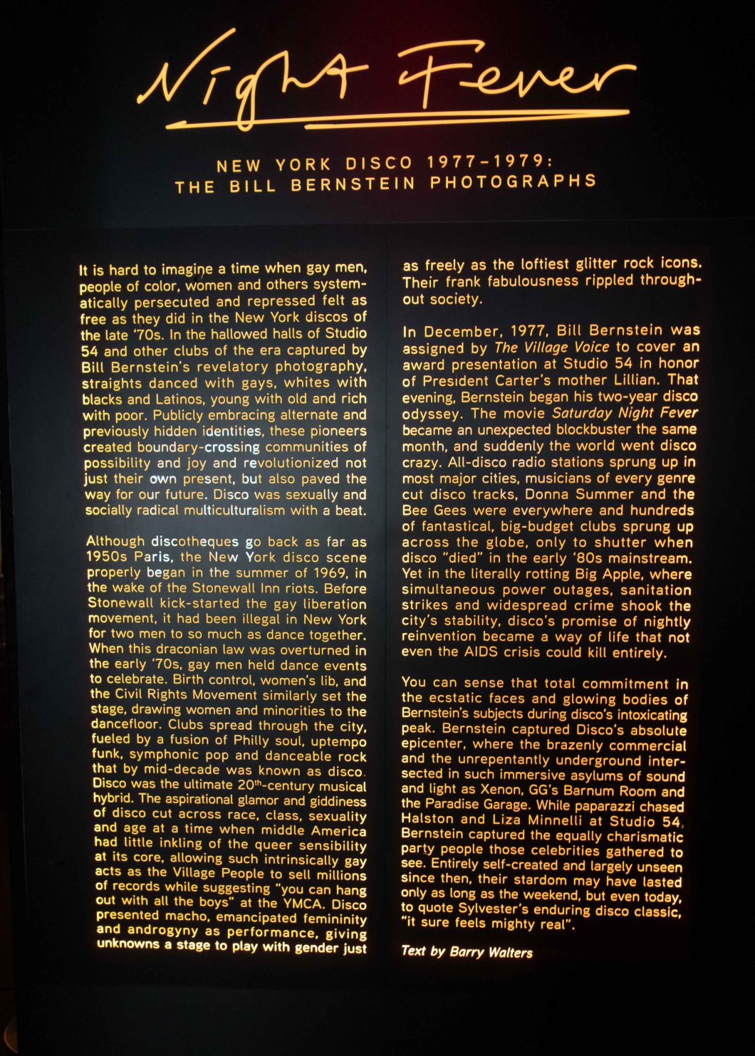 night fever disco photos bernstein mosex d.d. teoli jr.. (6)