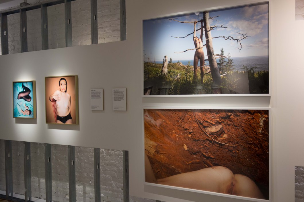 nsfw female gaze mosex d.d. teoli jr (15)