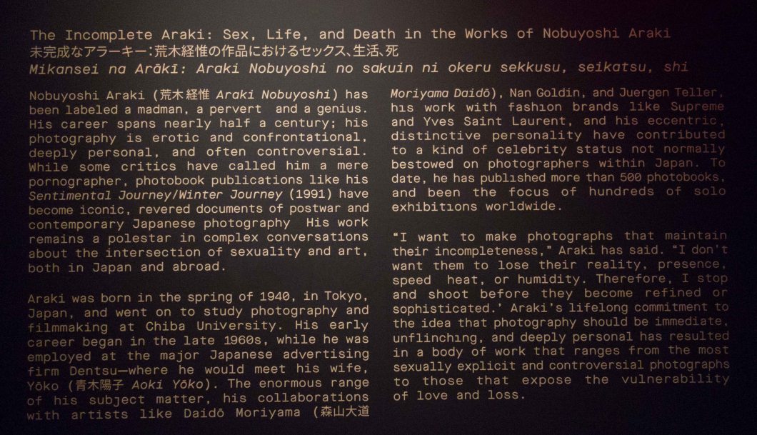 the incomplete araki mosex d.d. teoli jr. (11)