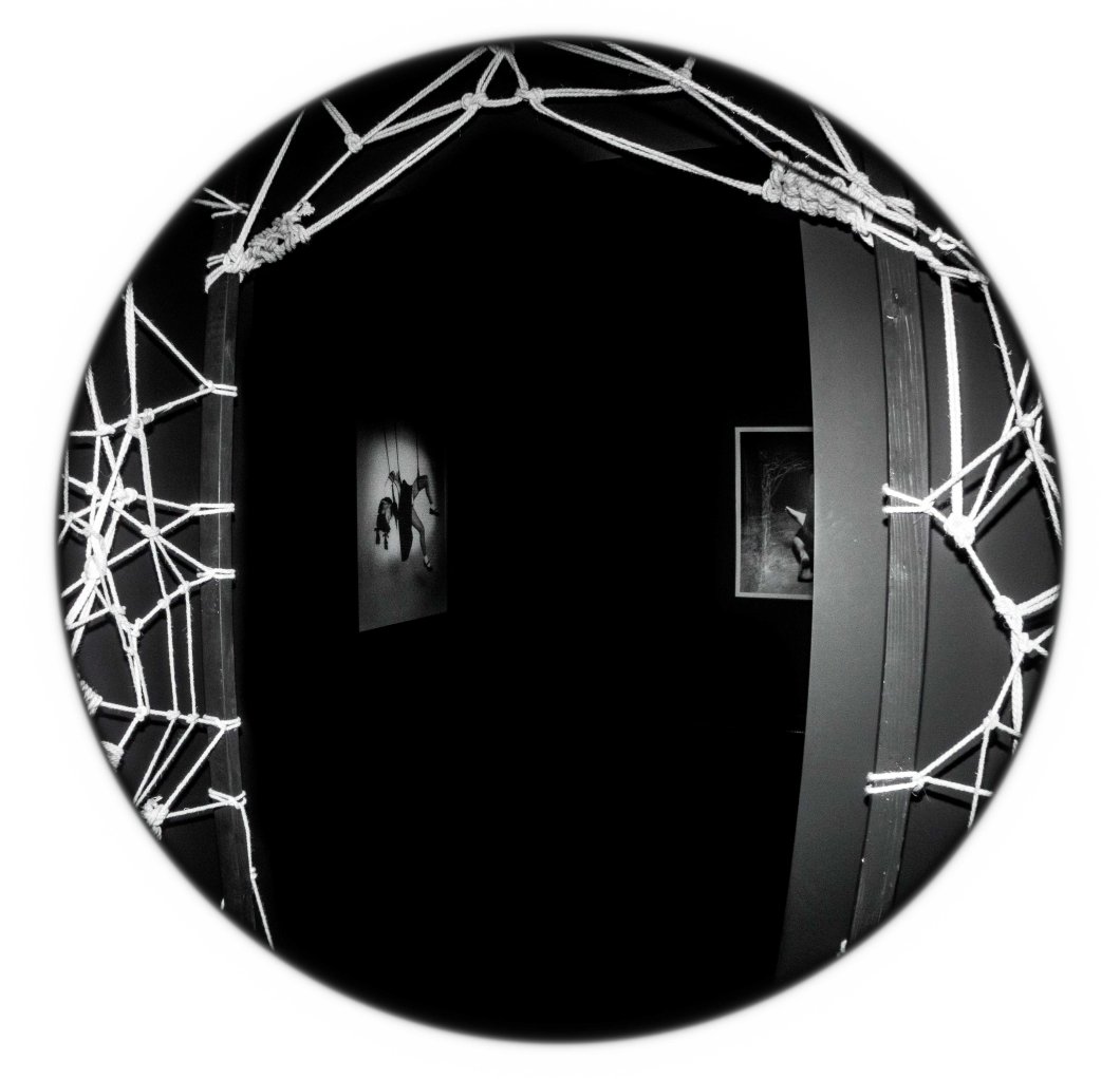 the incomplete araki mosex d.d. teoli jr. (13)