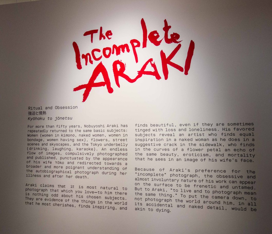 the incomplete araki mosex d.d. teoli jr. (14)