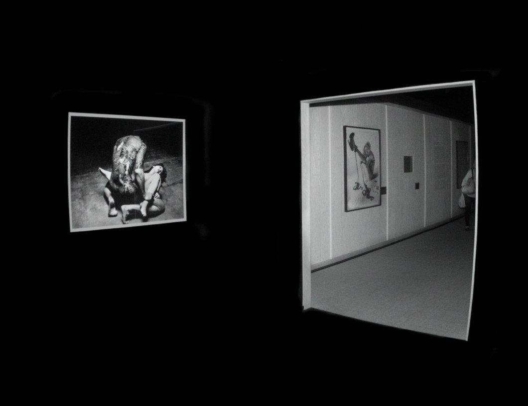 the incomplete araki mosex d.d. teoli jr. (18)