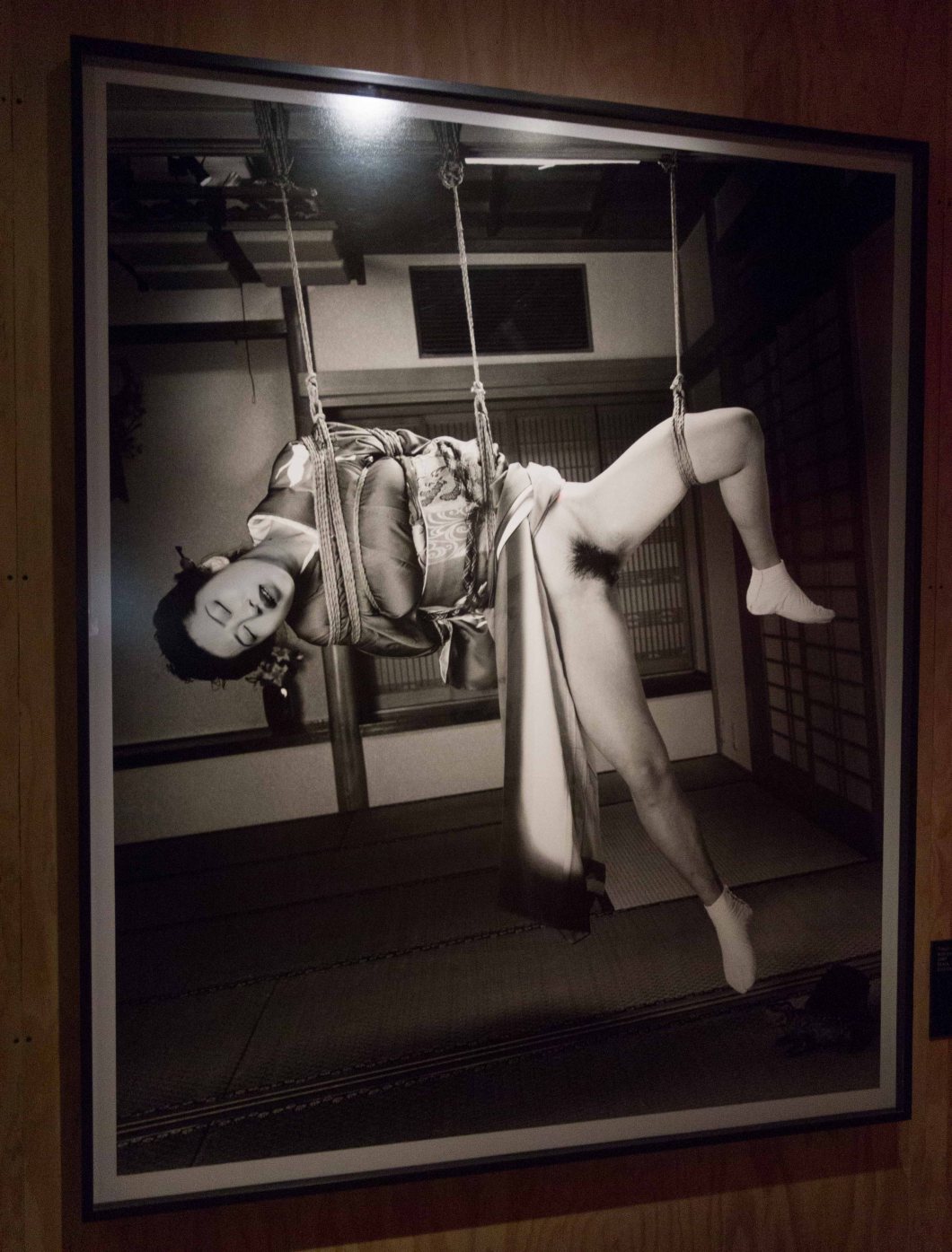 the incomplete araki mosex d.d. teoli jr. (20)